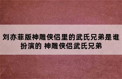 刘亦菲版神雕侠侣里的武氏兄弟是谁扮演的 神雕侠侣武氏兄弟